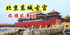 又粗又长大鸡巴操逼视频中国北京-东城古宫旅游风景区